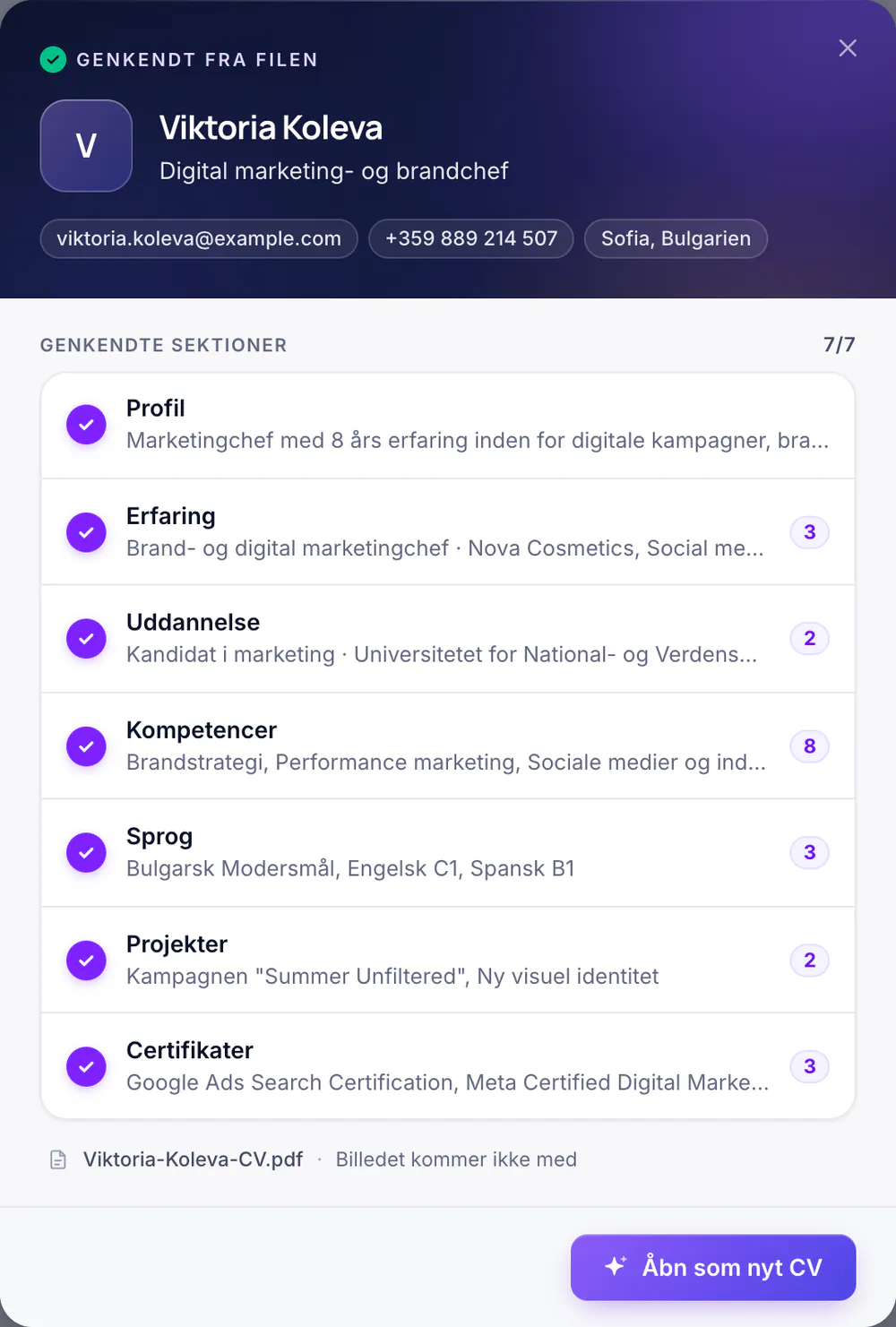 Et uploadet CV, som AI har læst: de genkendte sektioner og antallet af poster